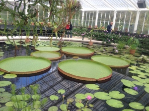 Kew Garden.