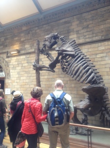 The Giant Ground Sloth at the Natural History Museum.